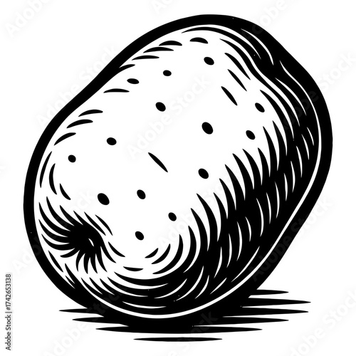 A potato is shown in black and white. The potato is round and has a few spots on it. Vector. Silhouette illustration.