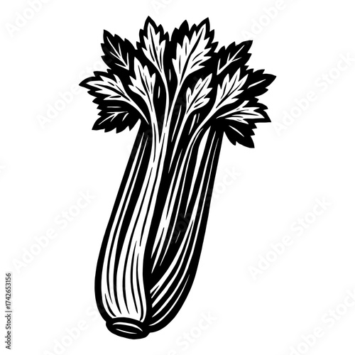 A celery stalk with leaves is shown in black and white. The celery is the main focus of the image. Vector. Silhouette illustration.