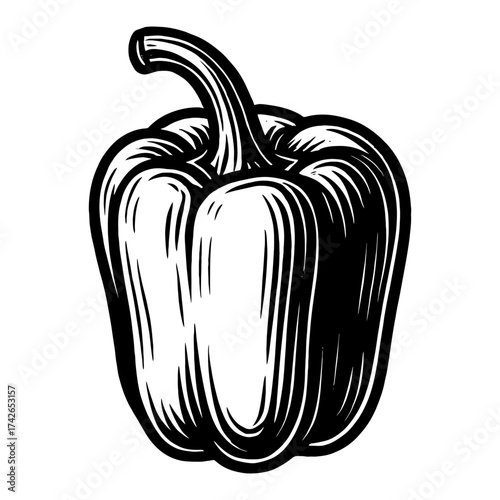 A black and white drawing of a pepper. The pepper is cut off at the top and has a stem. Vector. Silhouette illustration.
