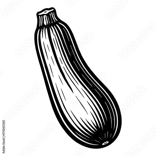 A black and white drawing of a zucchini. The zucchini is long and thin, with a stem at the top. Vector. Silhouette illustration.