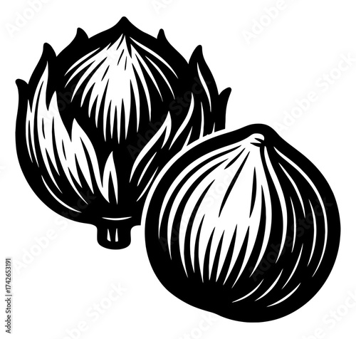 Two black and white drawings of a head of cabbage. The first drawing is of a whole head of cabbage. Vector. Silhouette illustration.