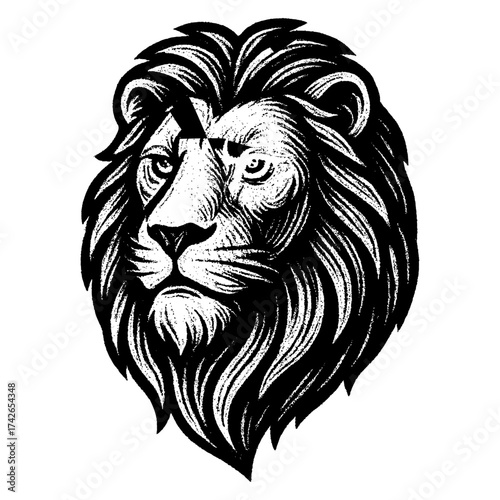A lion's head is shown in black and white. The lion's face is drawn with a lot of detail, including its eyes. Vector. Silhouette illustration.