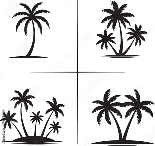 palm tree silhouettes
