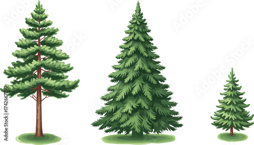 Evergreen Tree Silhouette Vector Set Featuring Three Unique Conifer Shapes for Nature, Landscape, Garden, and Environmental Illustration Use