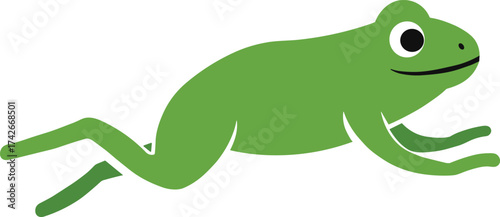 Green frog jumping illustration, amphibian animal vector, cartoon wildlife design, nature and biology concept, cute frog movement educational graphic art
