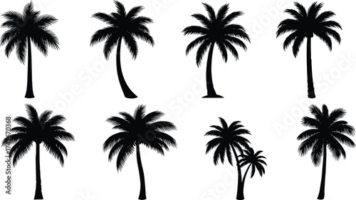Palm Tree Silhouette Collection with Diverse Tropical Shapes, Curved Trunks, Botanical Variations, Black Vector Icons for Nature, Landscape, and Design