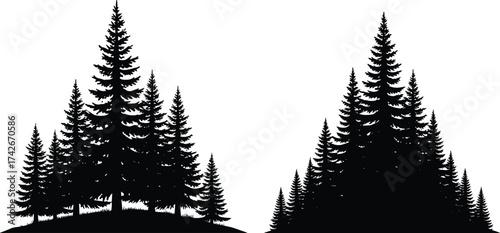Conifer tree silhouette illustration, symmetrical forest design, pine tree group artwork, nature mound and flat ground scene, black landscape graphic