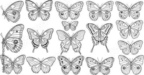 Butterfly silhouette collection, black and white wing pattern vector set, symmetrical insect design, entomology illustration, decorative nature graphic for art and study