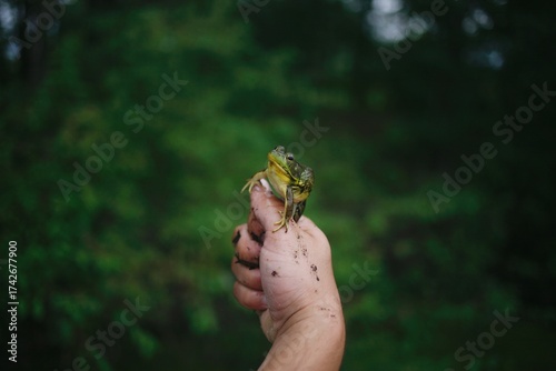 Man holding a frog by a creek with muddy hands