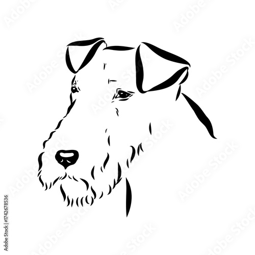 welsh terrier, dog breed, vector sketch