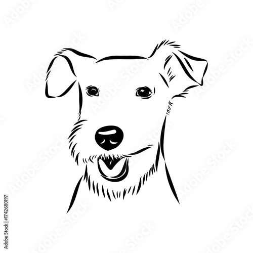 welsh terrier, dog breed, vector sketch