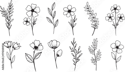 Set of Elegant hand-drawn botanical floral elements featuring delicate wildflowers, leafy branches, and buds in black ink line art.