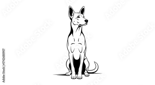 A dog sits attentively, depicted in a detailed black and white vector illustration.