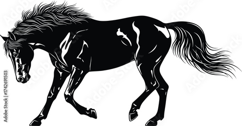 Black and white horse illustration, dynamic pose, elegant stallion art, flowing mane, muscular detail, realistic sketch, equine drawing, graceful motion