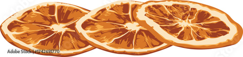 Three dried orange slices arranged in a row, showcasing their translucent texture and circular shape.