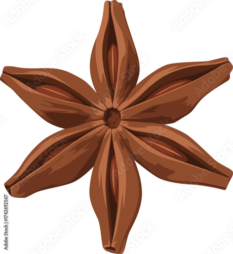 A single star anise pod, depicted in a vector illustration, with a detailed brown texture and six points.
