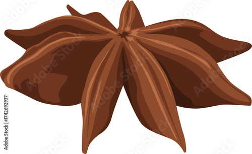 Illustration of a single, brown star anise pod with eight points, isolated on a white background.