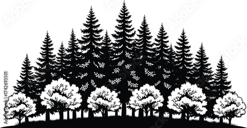 Stylized forest silhouette, black and white tree illustration, conifer and deciduous trees, artistic nature scene, layered woodland graph