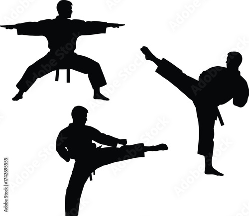 Martial arts silhouette, karate pose, taekwondo kick, self defense training, black figure action, combat stance, isolated on white background