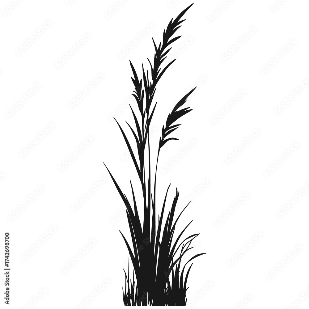 Obraz premium Bushes and grass landscape with natural green foliage and wild plants.