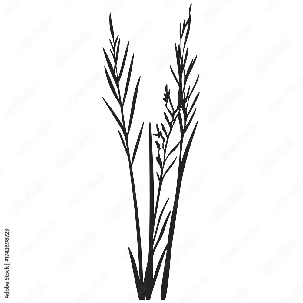 Fototapeta premium Bushes and grass landscape with natural green foliage and wild plants.