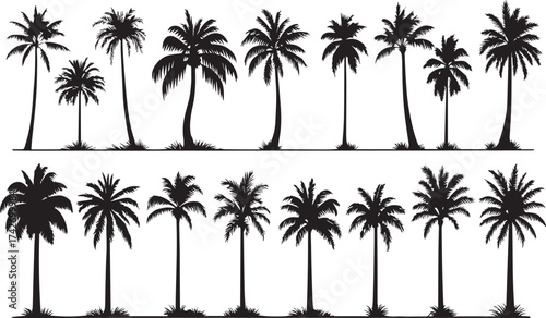 Palm Trees Silhouettes Collection Summer Holiday and Tropical Design Elements