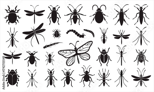 set of silhouettes of insects