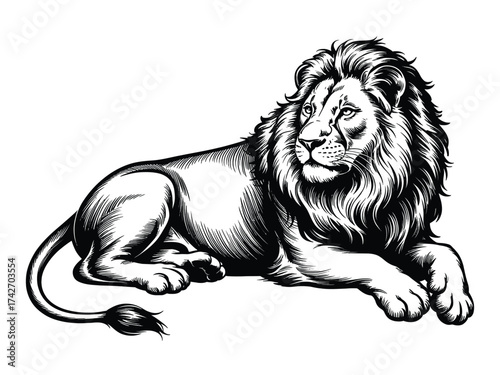 Black and white illustration of a resting lion on white background lying down