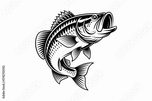 Black and white largemouth bass jumping with mouth open on white background fish leaping