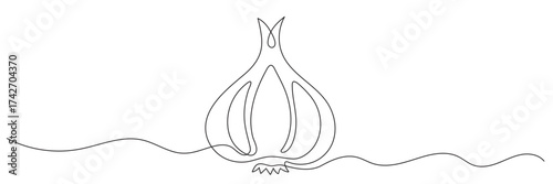 Continuous one line drawing of garlic. Vector graphic illustration with one line drawing. Editable line