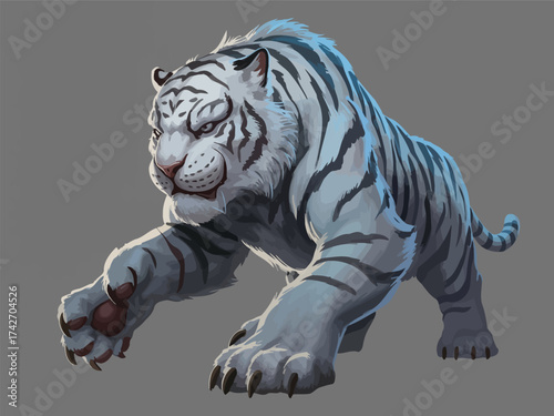 Fierce white tiger with blueish tint in a low crouch on a grey background animal big cat