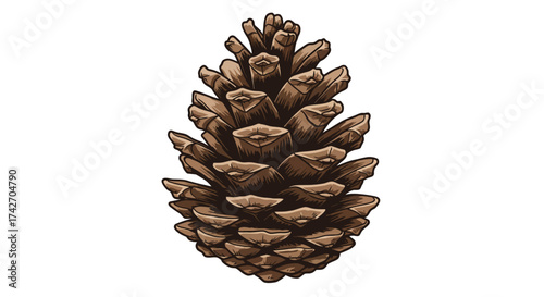 Realistic pine cone art with detailed texture on white background