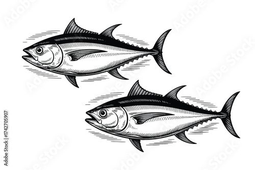 Two Tuna Fish Swimming Side By Side With Hatching Detail seafood ocean