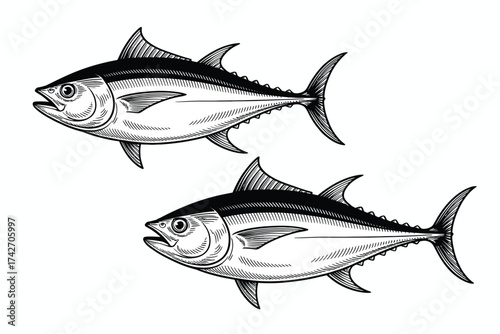 Two Tuna Fish Swimming Side By Side With Hatching Detail seafood ocean