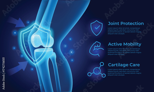 Knee Joint Shield Protection Defense Vector illustration