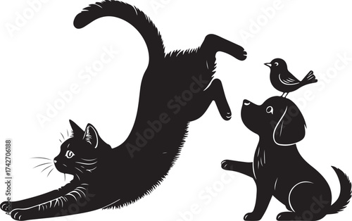 Black cat jumping towards dog with bird on head playing