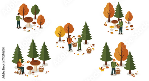 Autumn forest walk with people gathering mushrooms and leaves