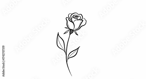 Minimalist monochrome line art of a single rose bloom