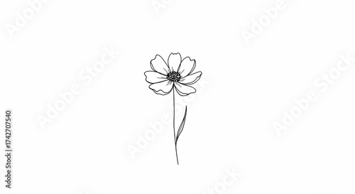 Simple black and white floral design art featuring a lone blooming flower