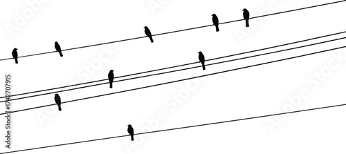 Silhouette birds perched on diagonal electrical wires, urban electricity infrastructure, artistic composition, natural wildlife behavior, telecommunications network, industrial system illustration
