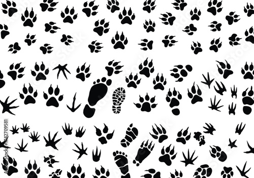 Silhouette footprint collection with animal paw prints, bird tracks, bear footprints, human shoe and bare prints, educational wildlife tracking illustration
