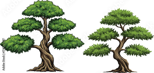 Beautiful stylized twisted trunk trees with lush green foliage illustration for nature, design, animation, and educational projects