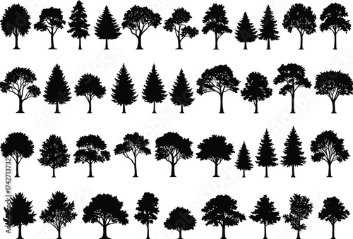 Silhouette tree collection with conifer and deciduous forms, broad canopies, pointed tops, diverse botanical elements, outdoor landscape concept art