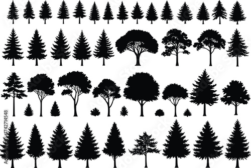 Silhouette tree collection with conifer and deciduous forms, broad canopies, pointed tops, diverse botanical elements, outdoor landscape illustration art