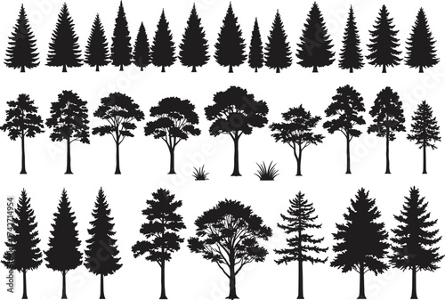 Silhouette tree collection with conifer and deciduous forms, broad canopies, pointed tops, shrubs, diverse botanical elements, outdoor landscape art
