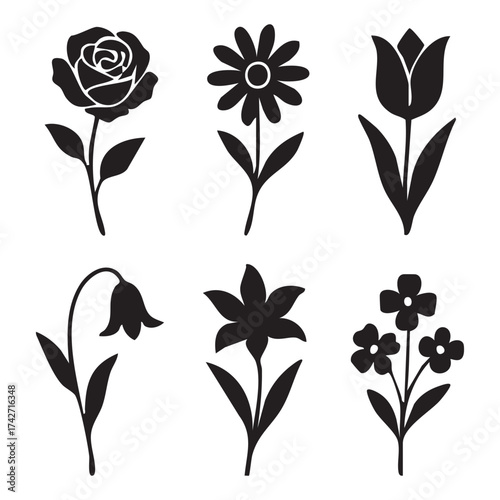 Elegant Floral Collection A Black and White Study of Botanical Silhouettes in a Minimalist Design