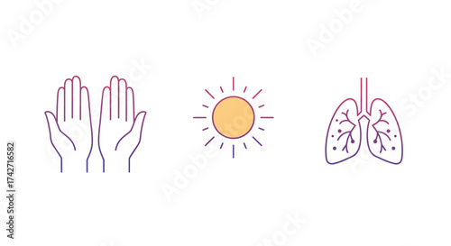 Minimalist line art of hands, sun, and lungs icons on white background