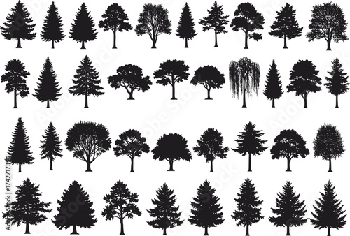 Silhouette tree collection with conifer and deciduous groupings, dense forest clusters, botanical elements, environmental illustration, outdoor landscape, natural concept art