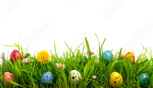 Ostereier im Gras isoliert auf weißem Hintergrund – Freisteller für Osterdesign und Compositing