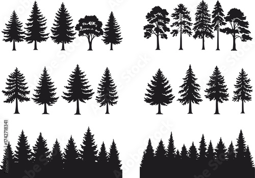 Silhouette tree collection with conifer and deciduous groupings, forest clusters, botanical elements, landscape design resources, environmental illustration, natural concept art